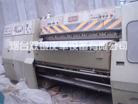 意大利利茲180片皮機